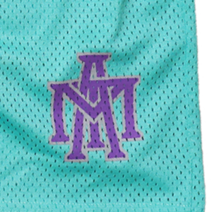 Classic Mesh Shorts - Lake/Purple