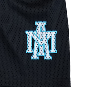 Classic Mesh Shorts - Black/Bule