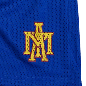 Classic Mesh Shorts - Bule/Rad