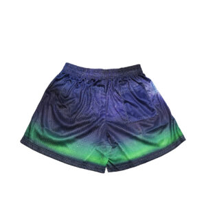 Aurora Mesh Shorts