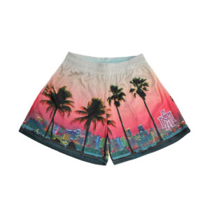 South Bay Mesh Shorts
