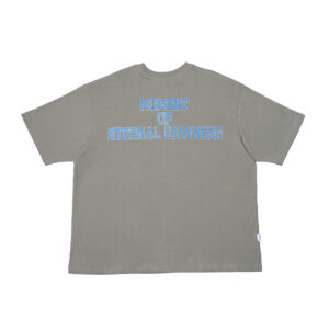 Rhinestone Boxy T-shirt - Gray